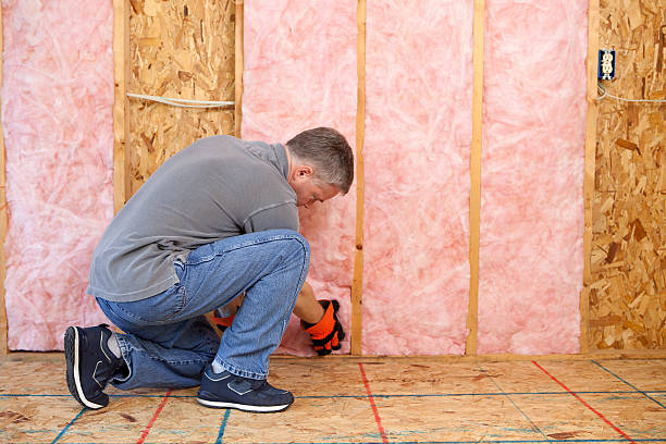 Best Attic Insulation Installation  in Momence, IL